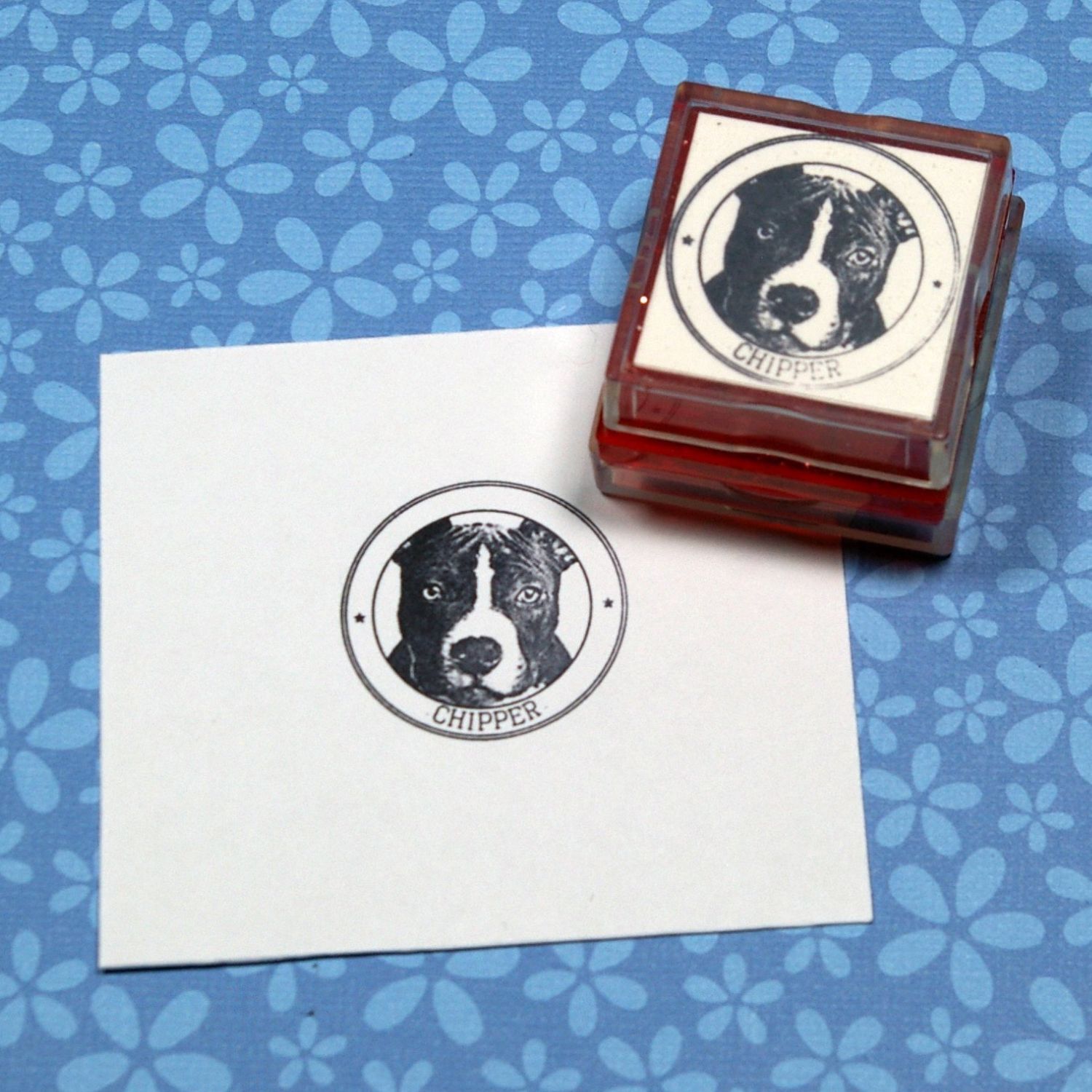 Old School All Star Pet Rubber Stamp  Rubber Stamps Made from Your Photos!