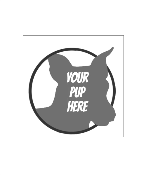Stampics World's Greatest Pet Rubber Stamp