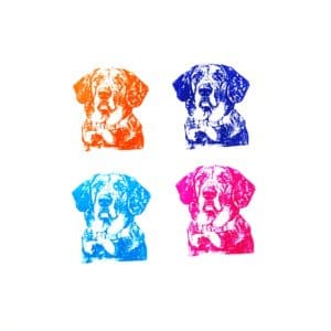 pet rubber stamps | stampics custom rubber stamp pet dog